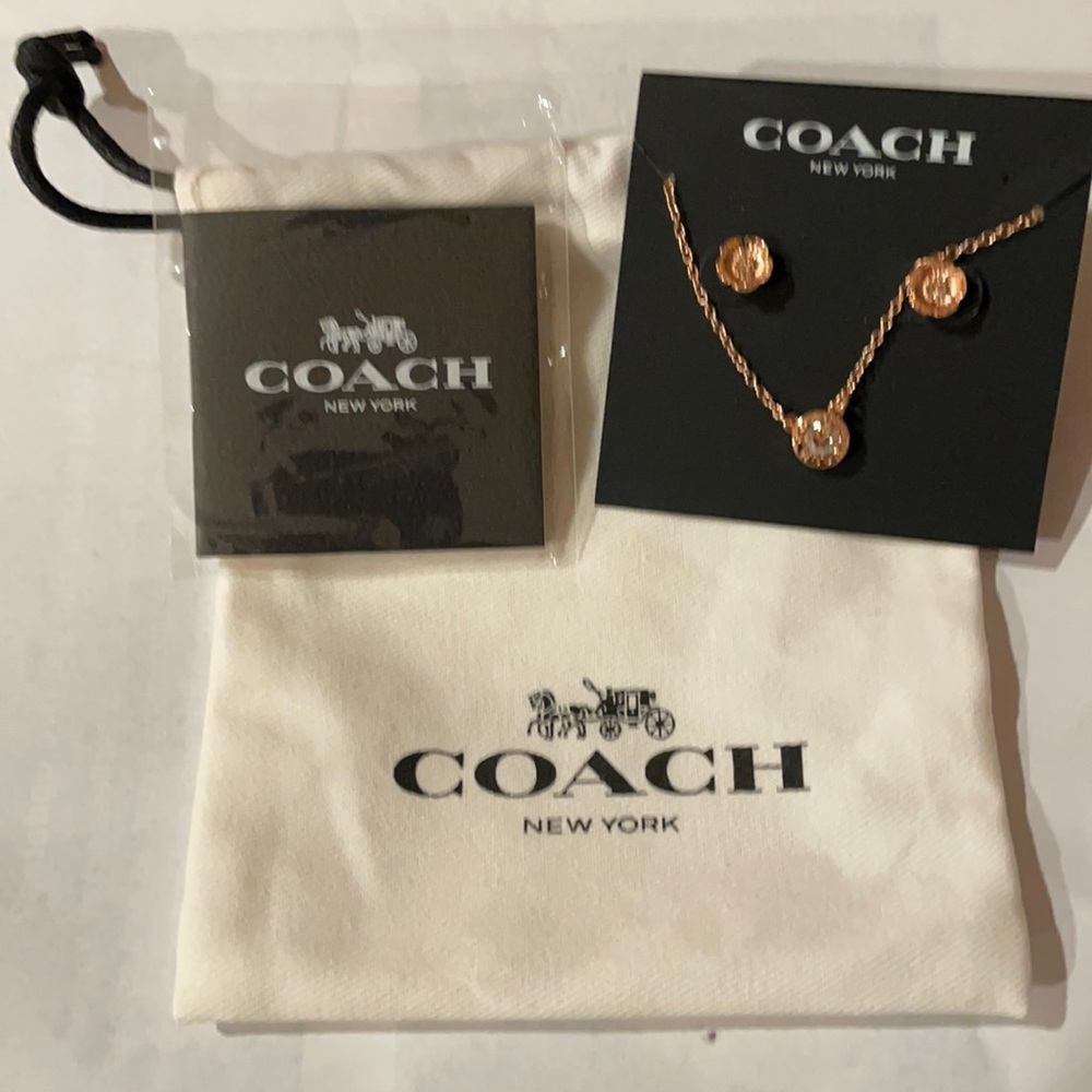 Necklace and earring set.
